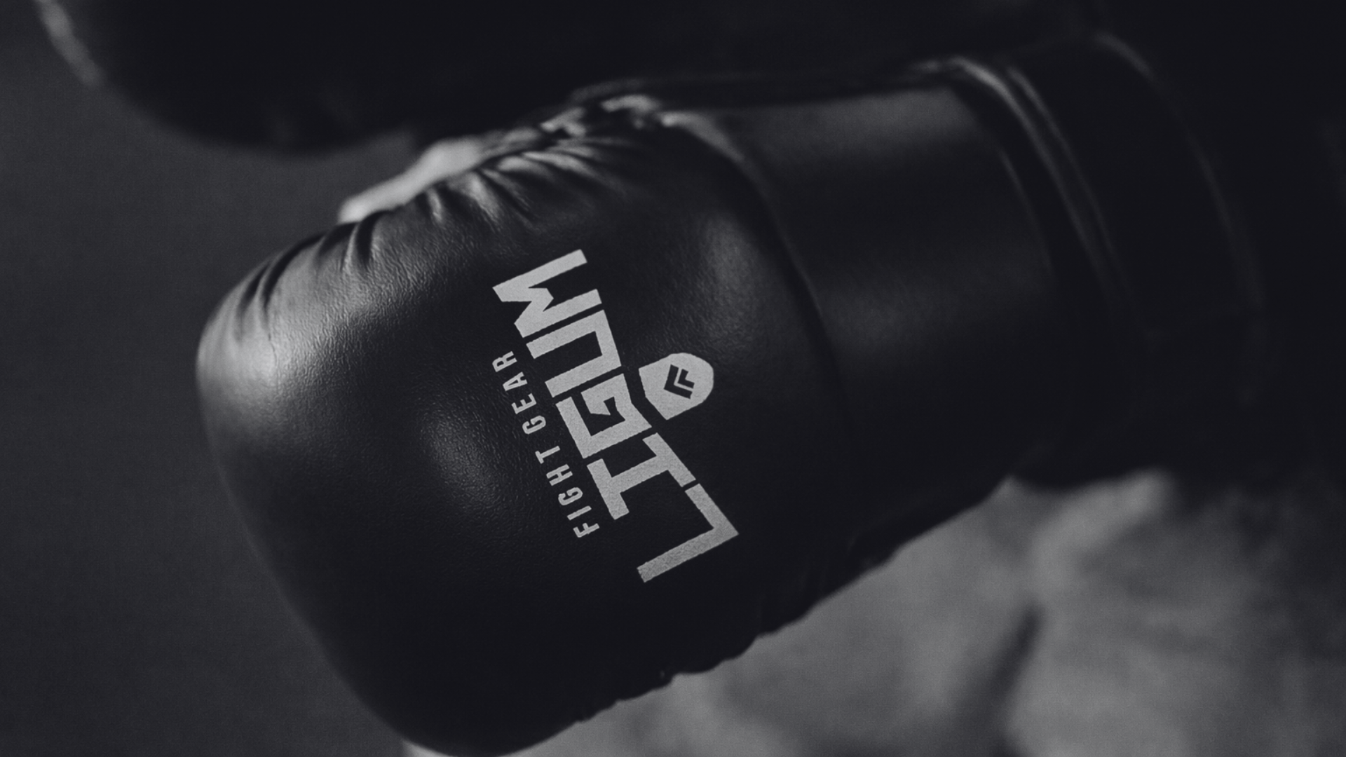 Boxing Gloves vs MMA Gloves: What’s the Difference