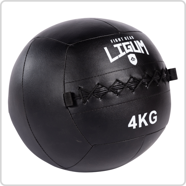 Wall Medicine Ball - High-Density Weighted Ball for Explosive Training