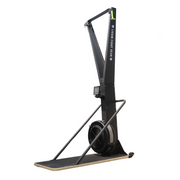 Ludus Pro X - Ski Erg - Air Impact Cardio - Commercial