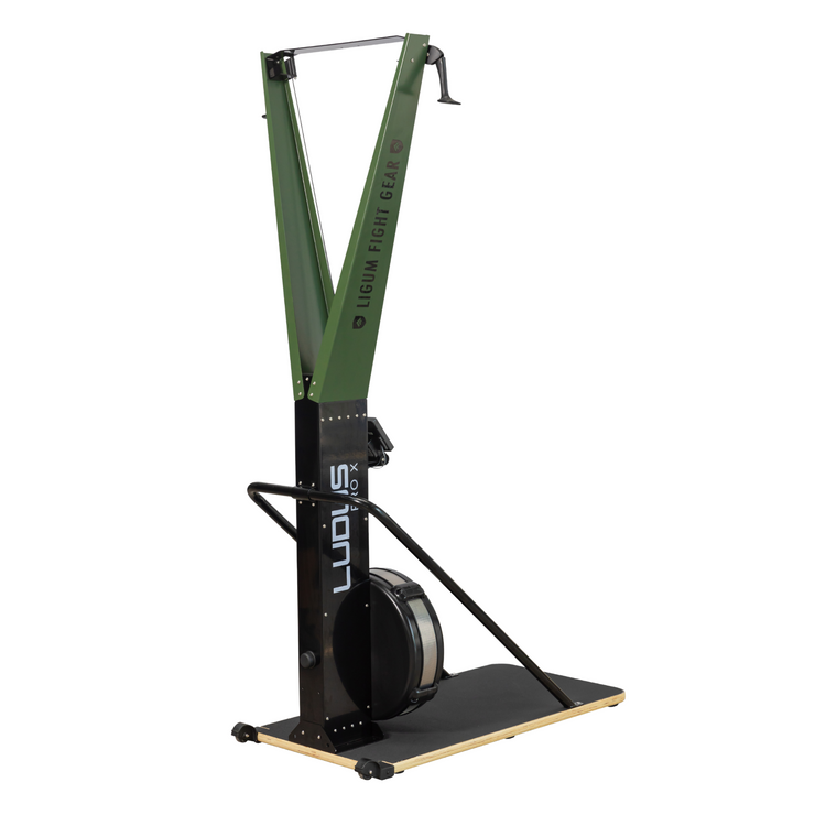 Ludus Pro X - Ski Erg - Air Impact Cardio - Commercial