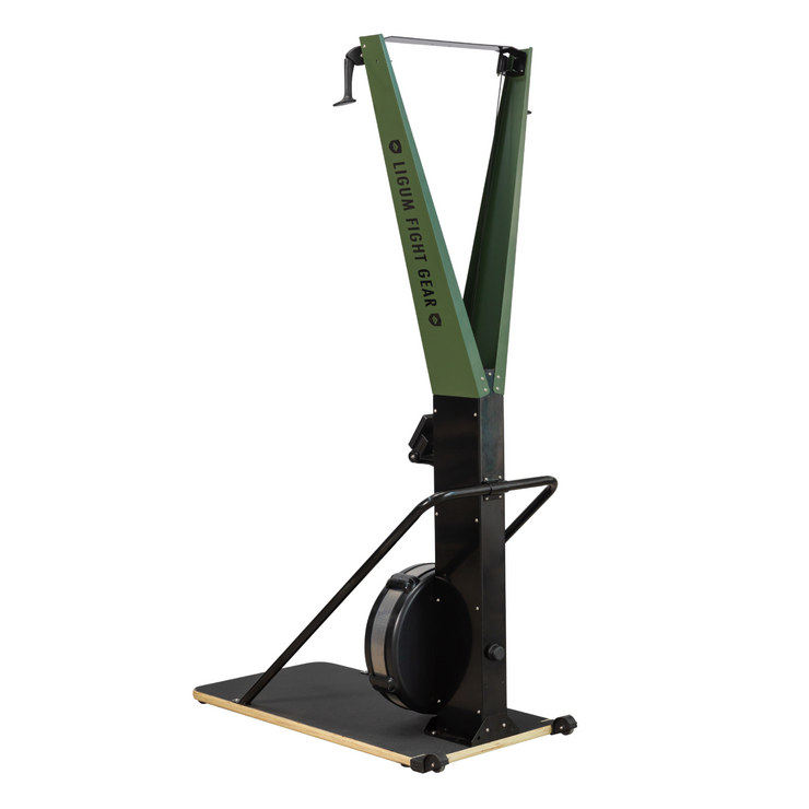 Ludus Pro X - Ski Erg - Air Impact Cardio - Commercial