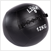 Wall Medicine Ball - High-Density Weighted Ball for Explosive Training
