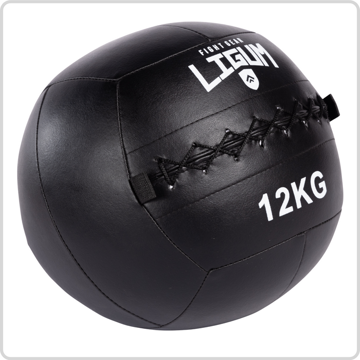 Wall Medicine Ball - High-Density Weighted Ball for Explosive Training