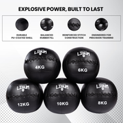 Wall Medicine Ball - High-Density Weighted Ball for Explosive Training