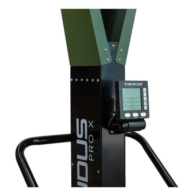 Ludus Pro X - Ski Erg - Air Impact Cardio - Commercial