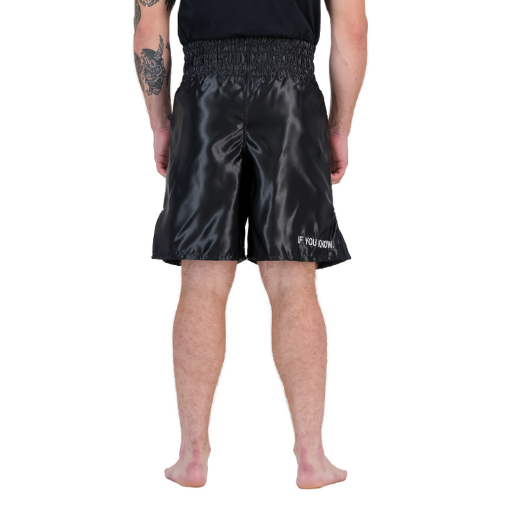 Titus Professional Boxing Shorts