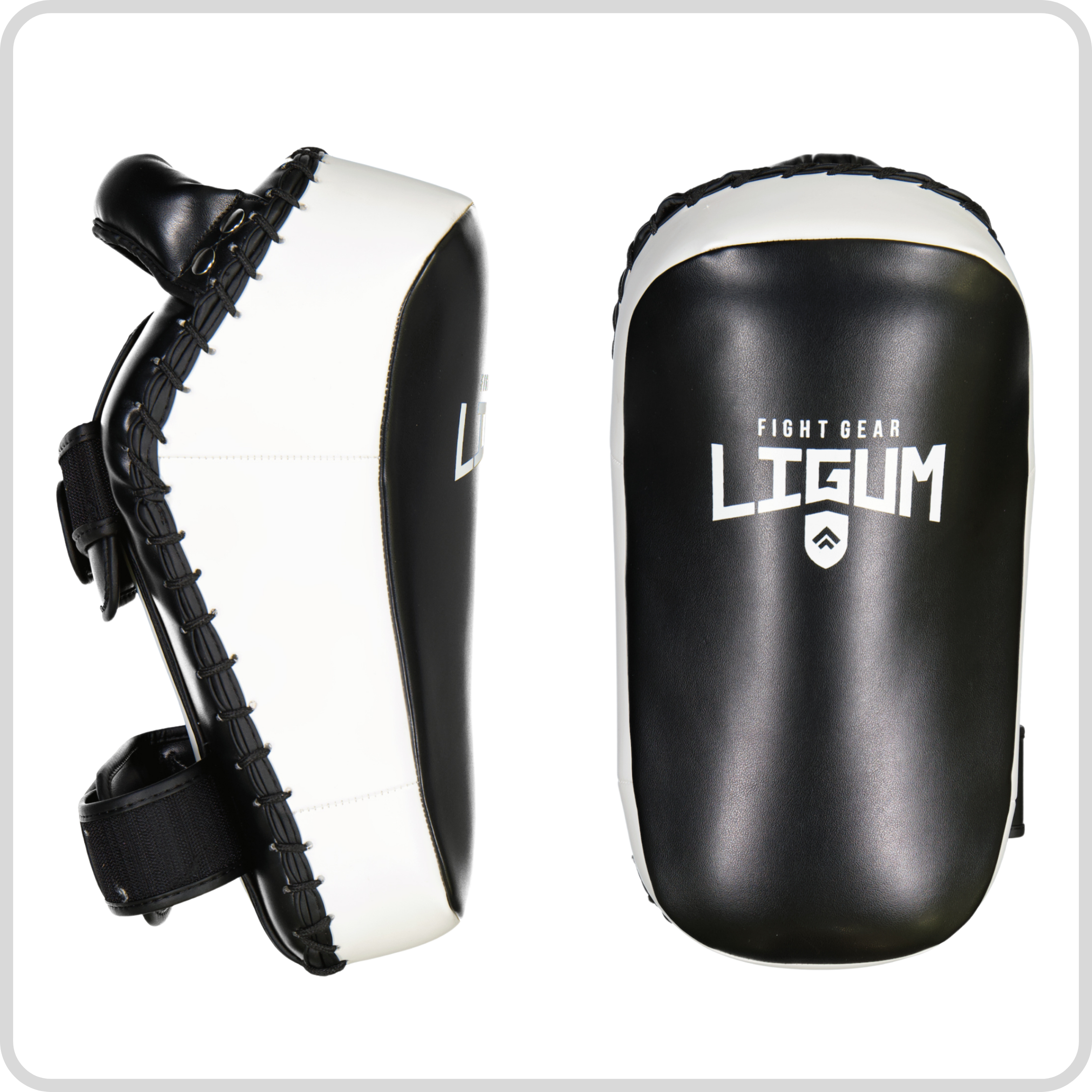 Master of the House - Thai MMA Pads