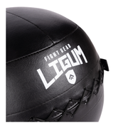 Wall Medicine Ball - High-Density Weighted Ball for Explosive Training