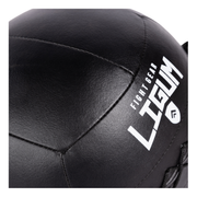 Wall Medicine Ball - High-Density Weighted Ball for Explosive Training