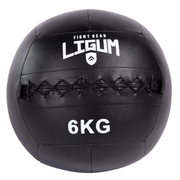 Wall Medicine Ball - High-Density Weighted Ball for Explosive Training