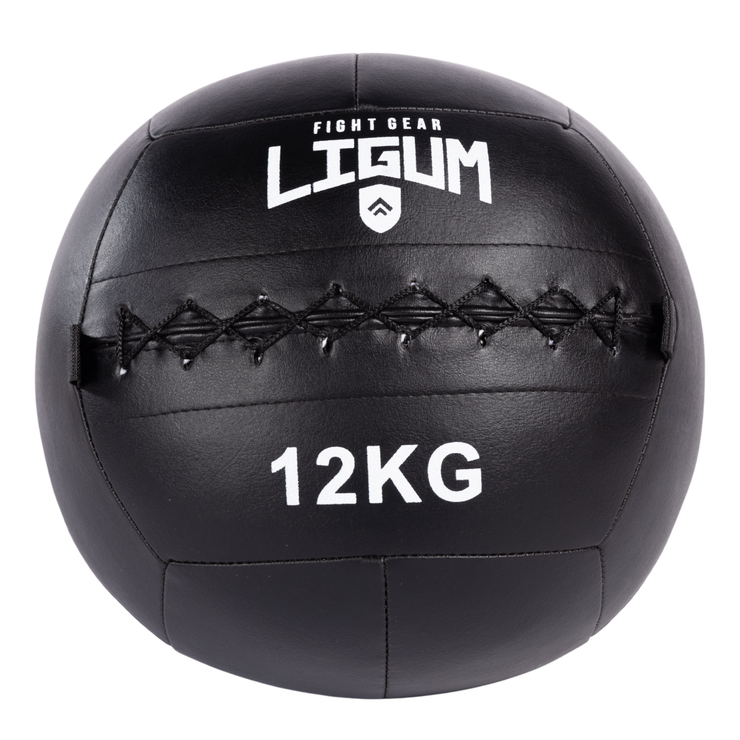 Wall Medicine Ball - High-Density Weighted Ball for Explosive Training
