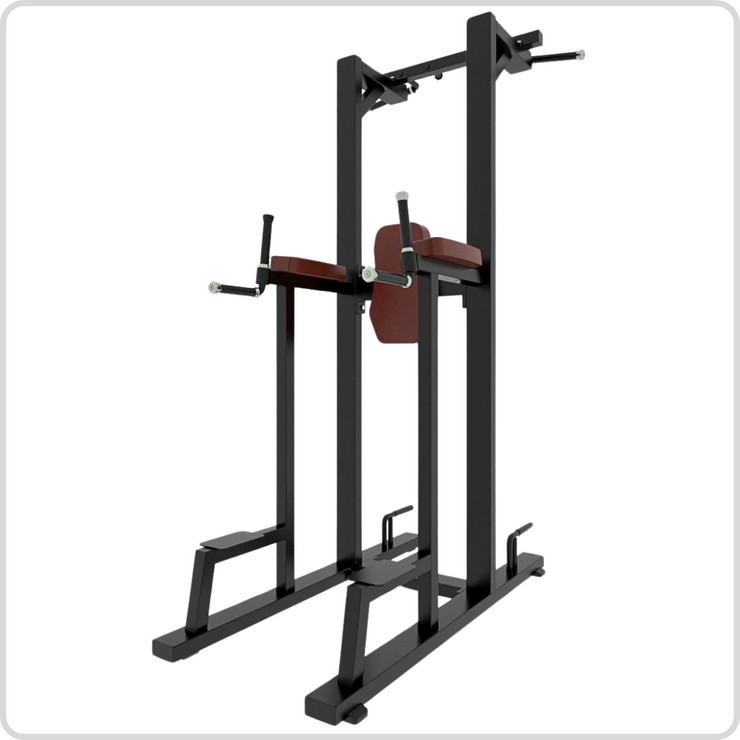Commercial Pull Up Abs Station