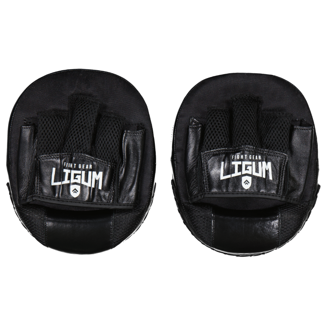 Focus Target Mitts