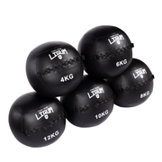 Wall Medicine Ball - High-Density Weighted Ball for Explosive Training