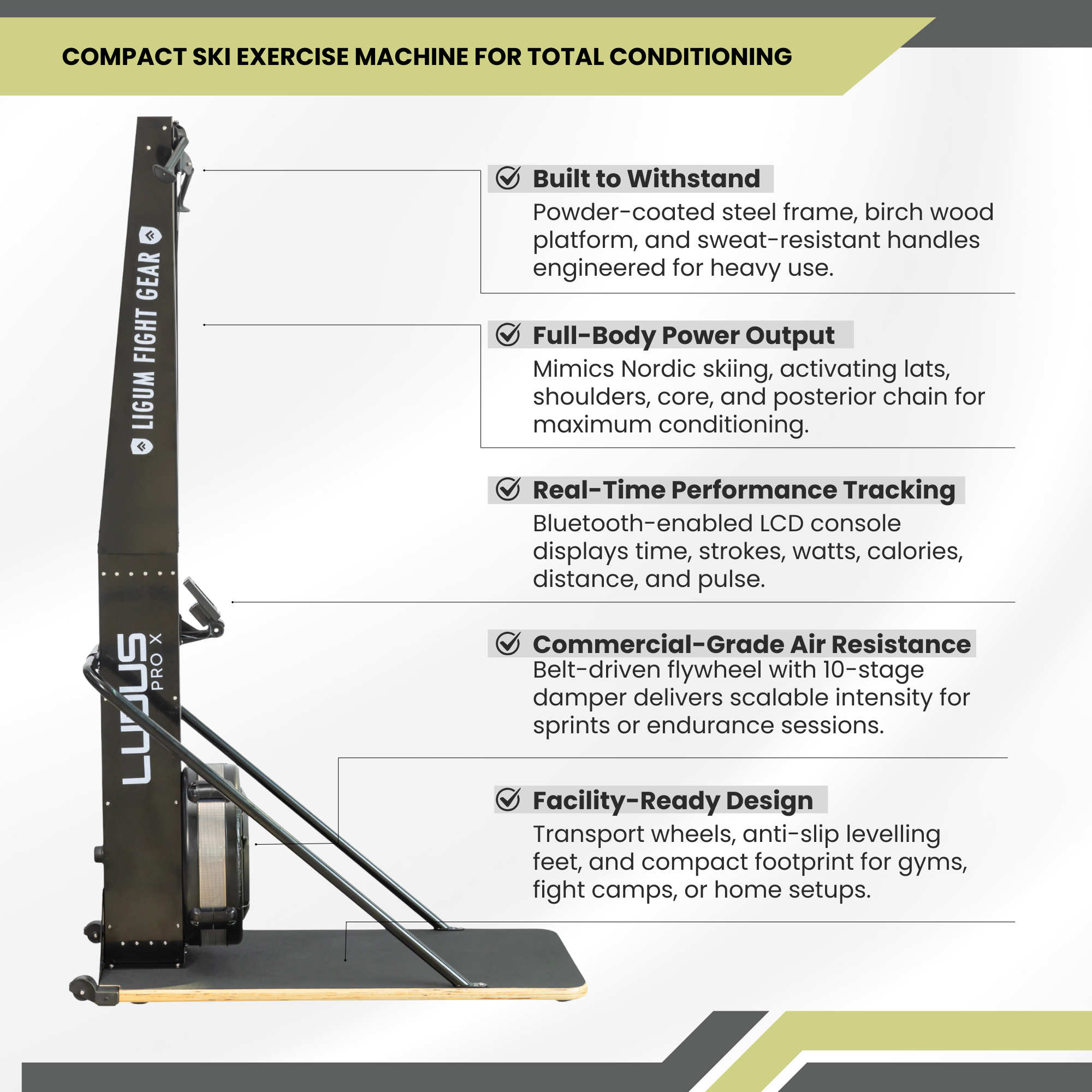 Ludus Pro X - Ski Erg - Air Impact Cardio - Commercial