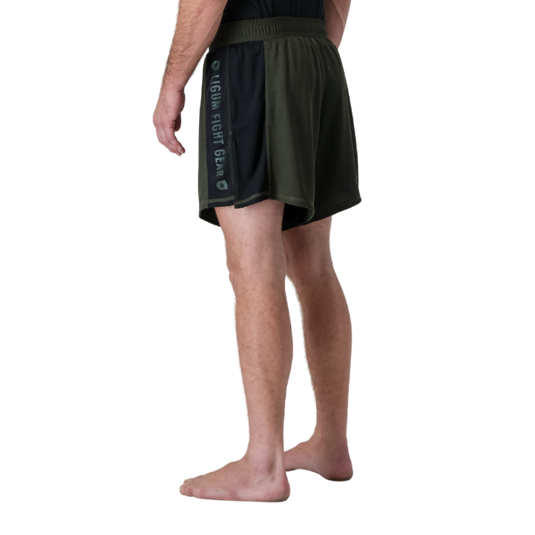 Aurelius Fight Shorts