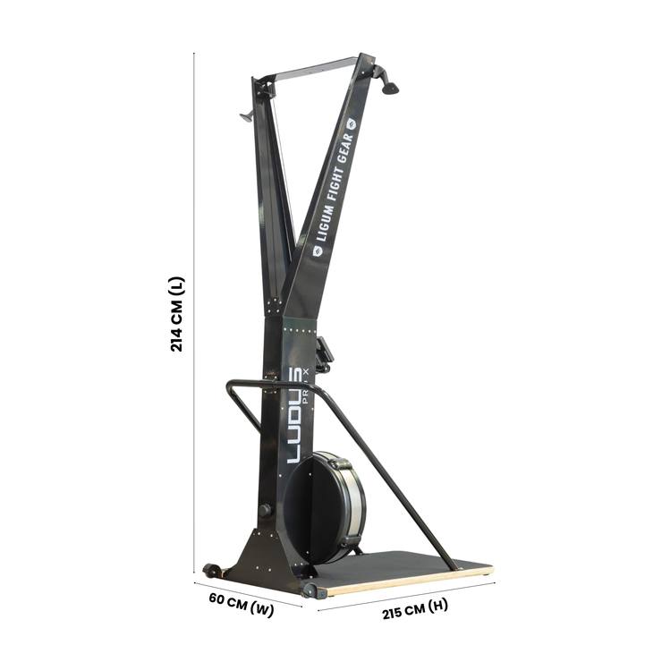 Ludus Pro X - Ski Erg - Air Impact Cardio - Commercial