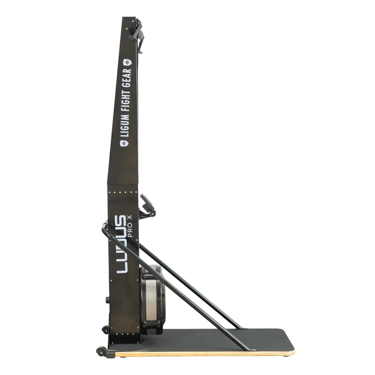 Ludus Pro X - Ski Erg - Air Impact Cardio - Commercial