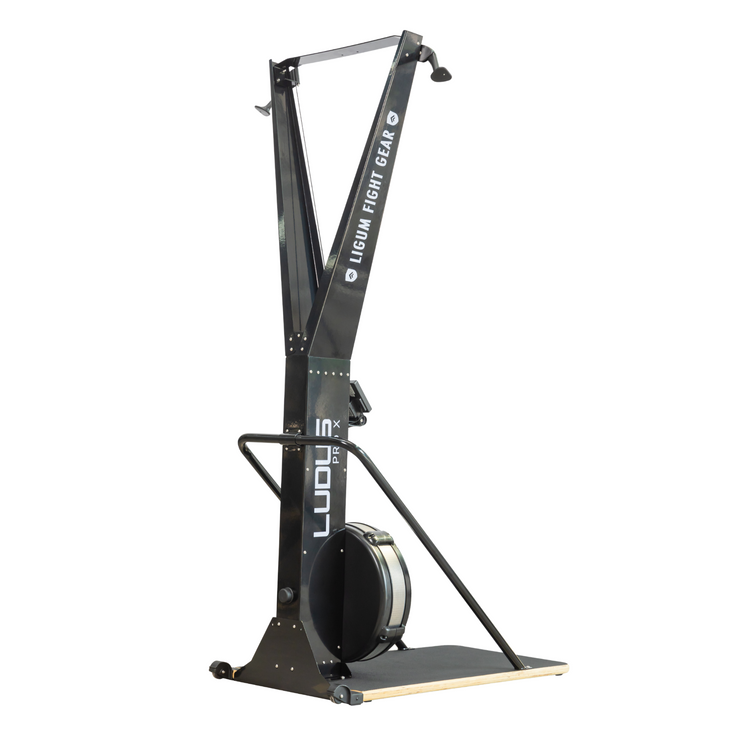 Ludus Pro X - Ski Erg - Air Impact Cardio - Commercial