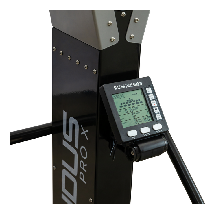 Ludus Pro X - Ski Erg - Air Impact Cardio - Commercial
