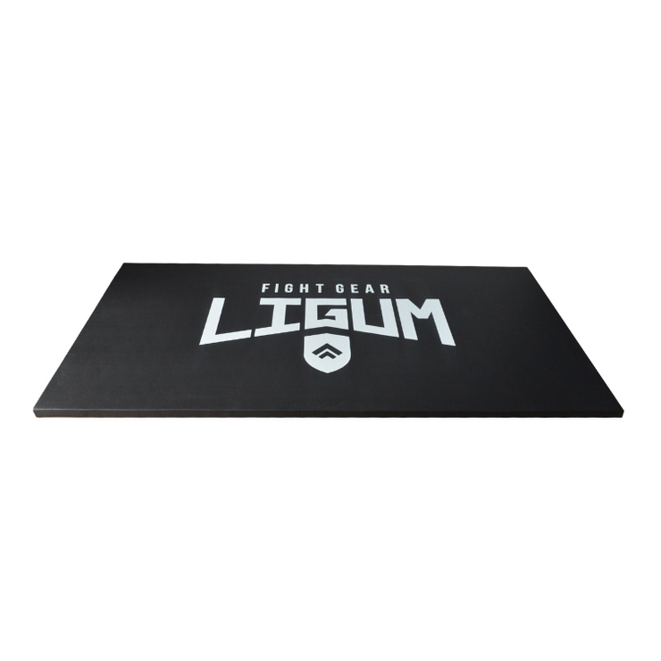 Ludus Pro Mat