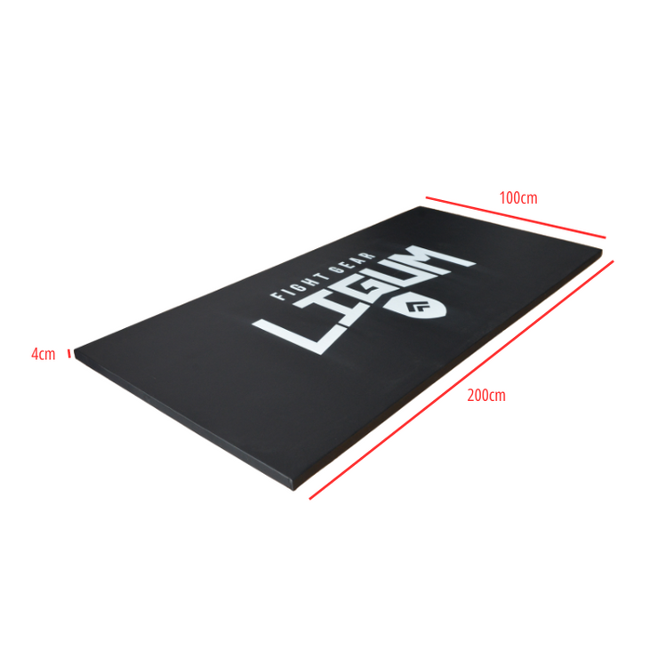 Ludus Pro Mat