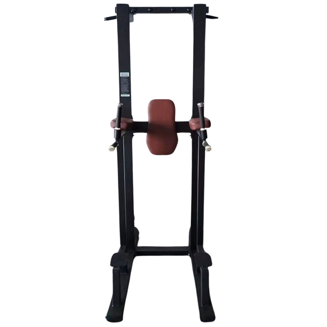 Commercial Pull Up Abs Station