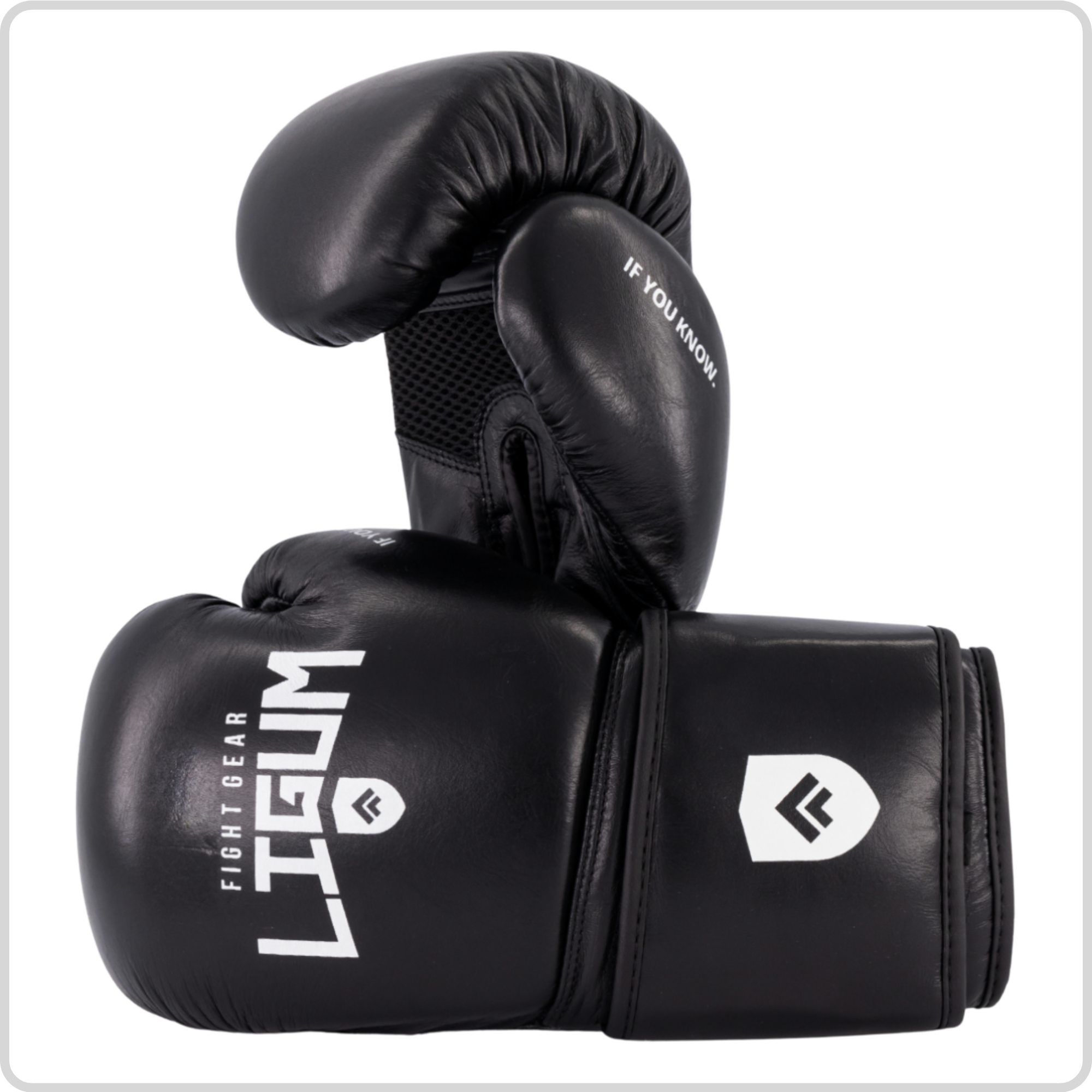 Premium Leather Boxing Gloves