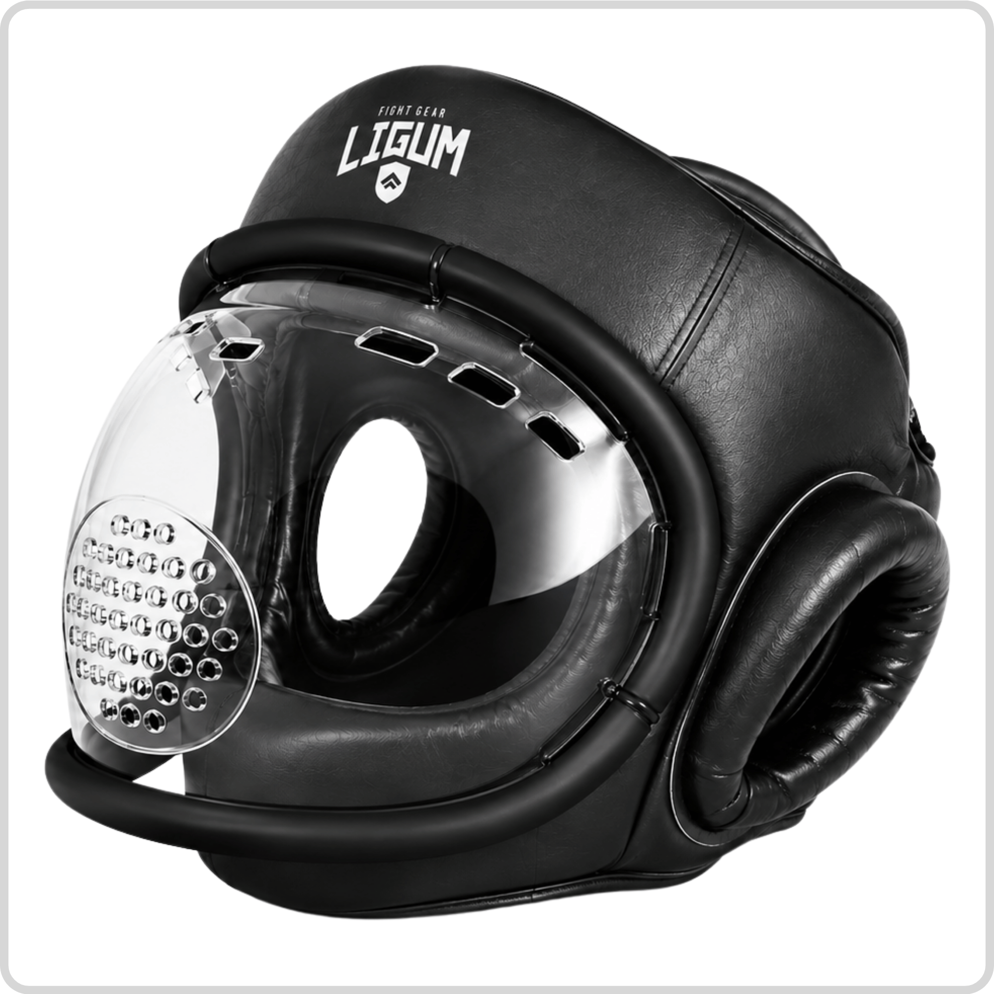 Head Protector -Technical MMA and CQ - Clear Full Face Shield & Protection