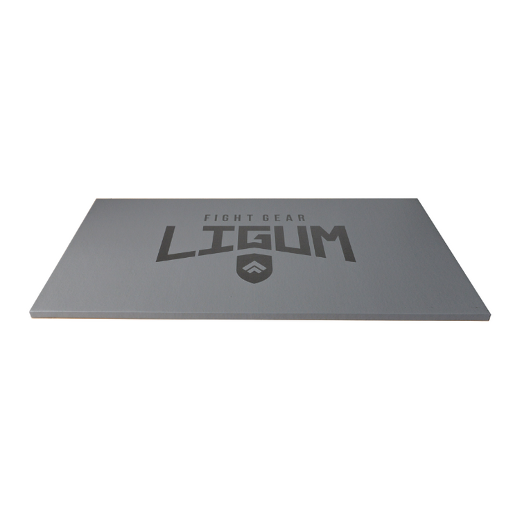 Ludus Pro Mat