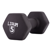 Dual Coated Performance Dumbbells