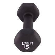 Dual Coated Performance Dumbbells