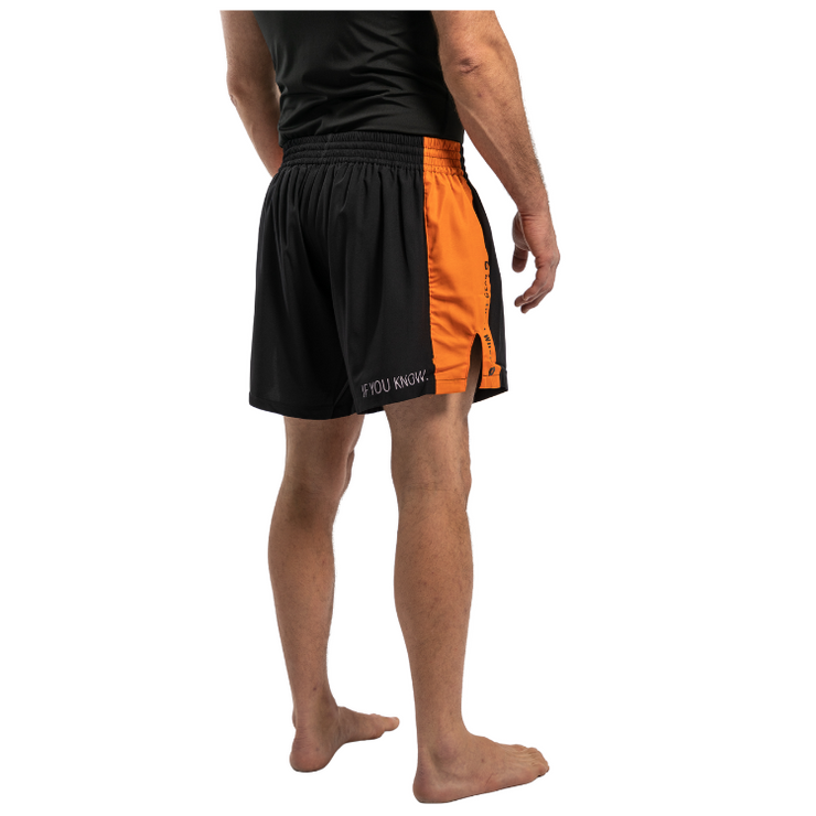 Tiberius Training Shorts