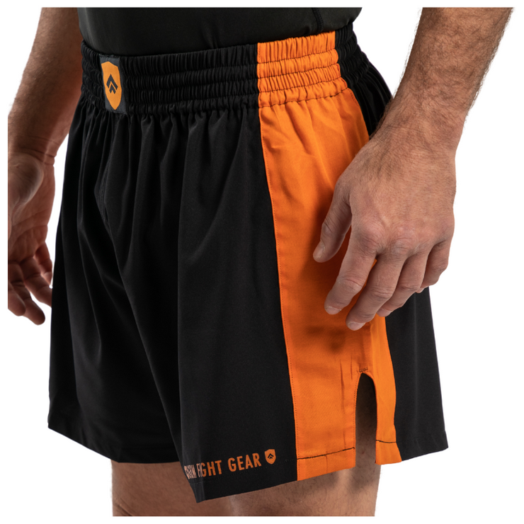 Tiberius Training Shorts