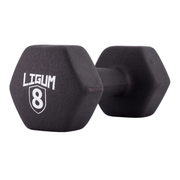 Dual Coated Performance Dumbbells