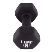 Dual Coated Performance Dumbbells