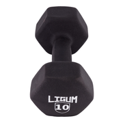 Dual Coated Performance Dumbbells