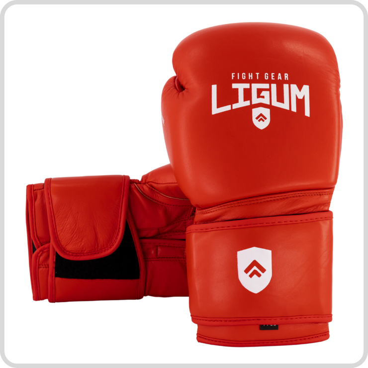 Premium Leather Boxing Gloves