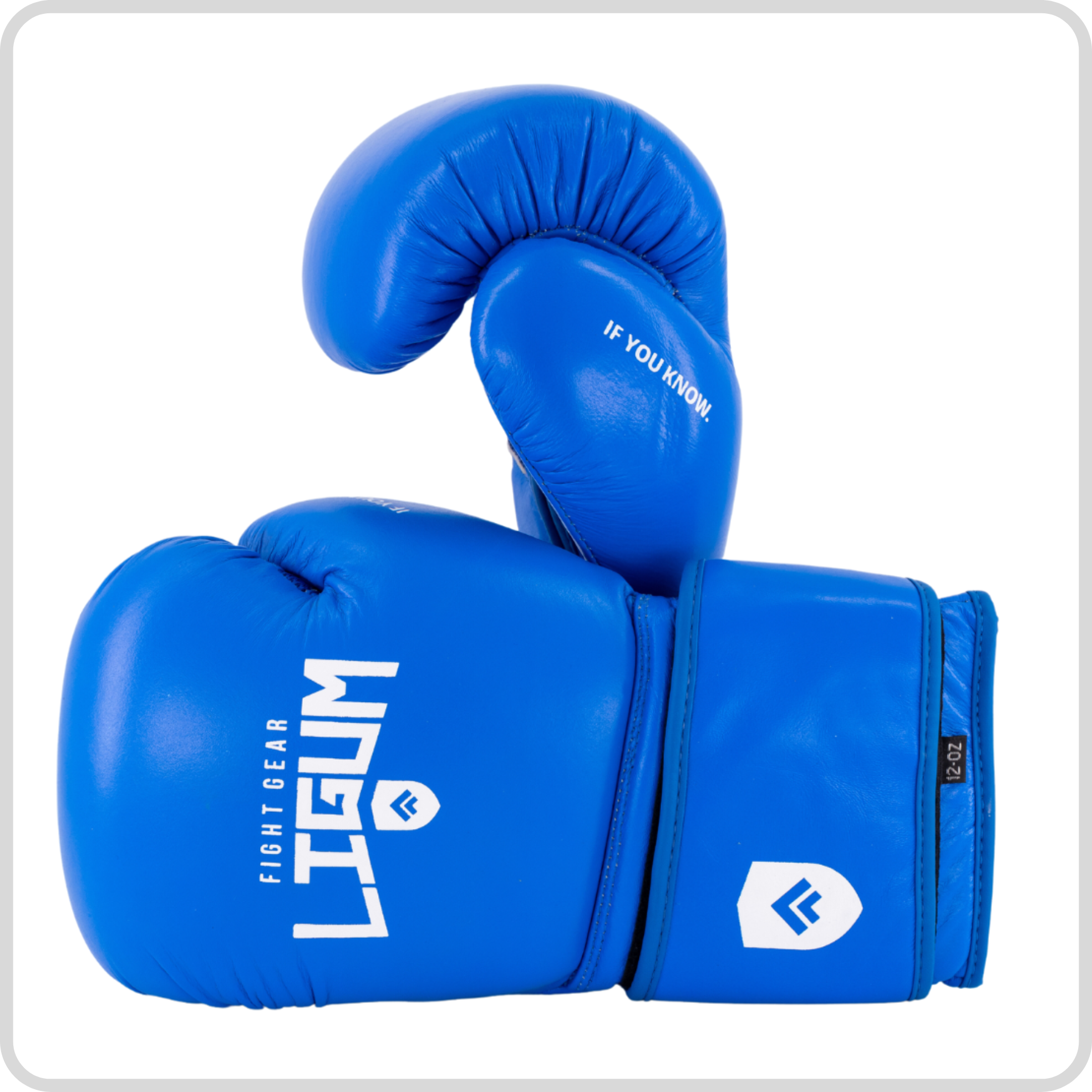 Shop Leather Boxing Gloves | Boxing Gear South Africa | MMA Online Shop Leather Boxing Gloves | Boxing Gear South Africa | MMA Online