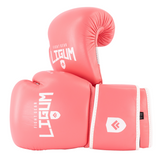Premium Leather Boxing Gloves