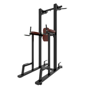 Commercial Pull Up Abs Station