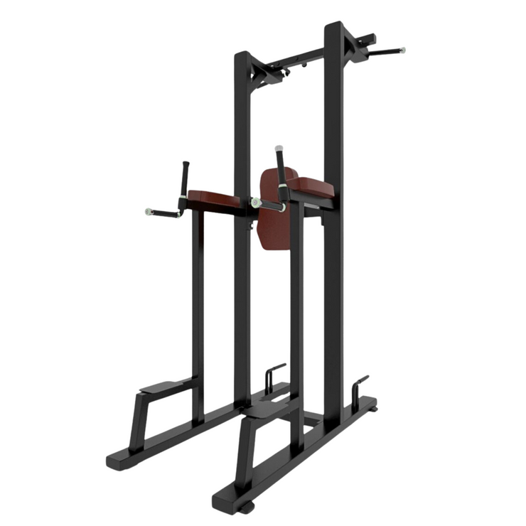 Commercial Pull Up Abs Station