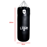 Ludus Series - Heavy Punching Bag