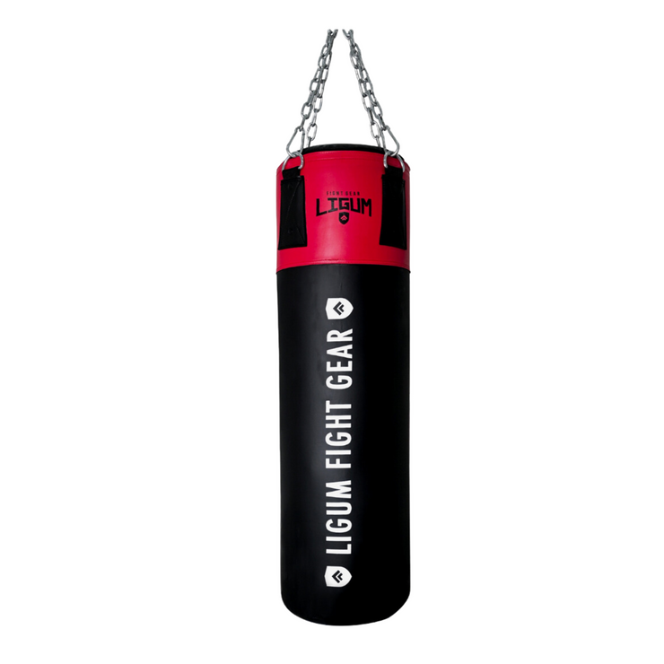 Ludus Series - Technical Punching Bag