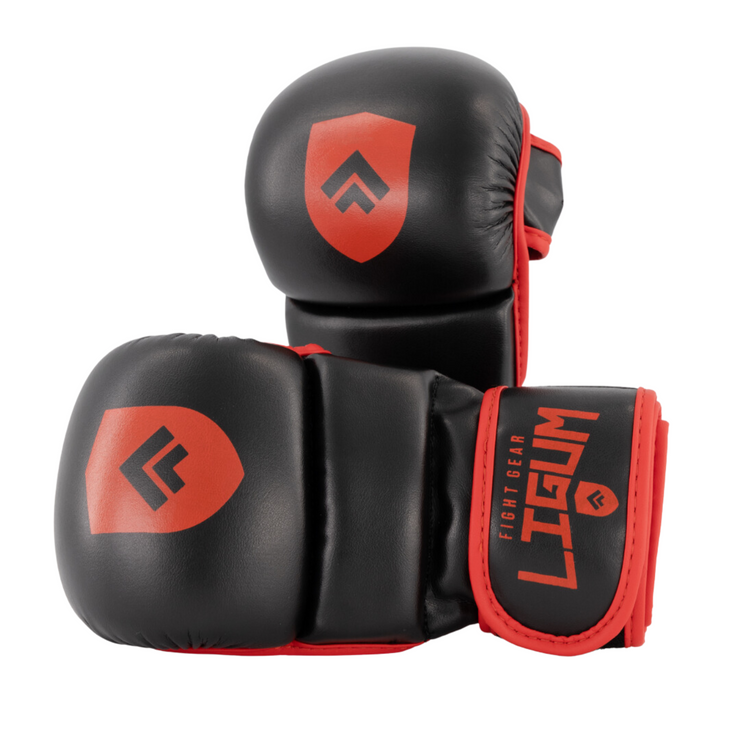 Premium Grappling Gloves