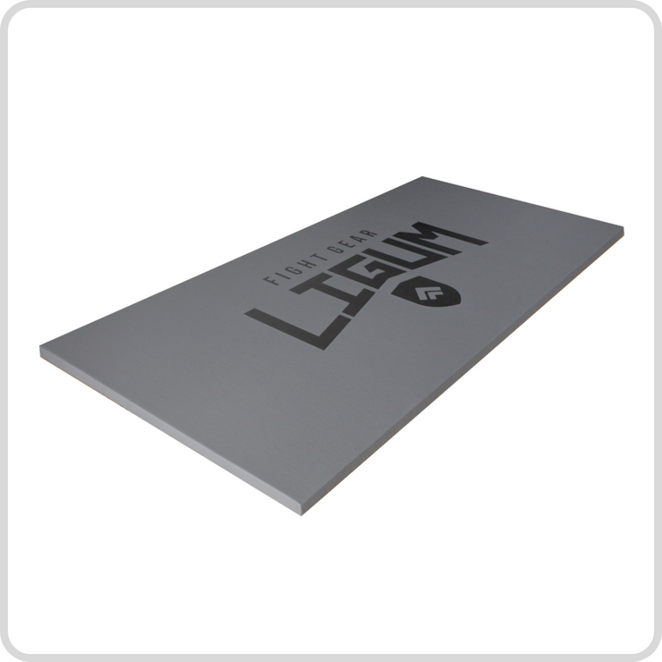 Ludus Pro Mat