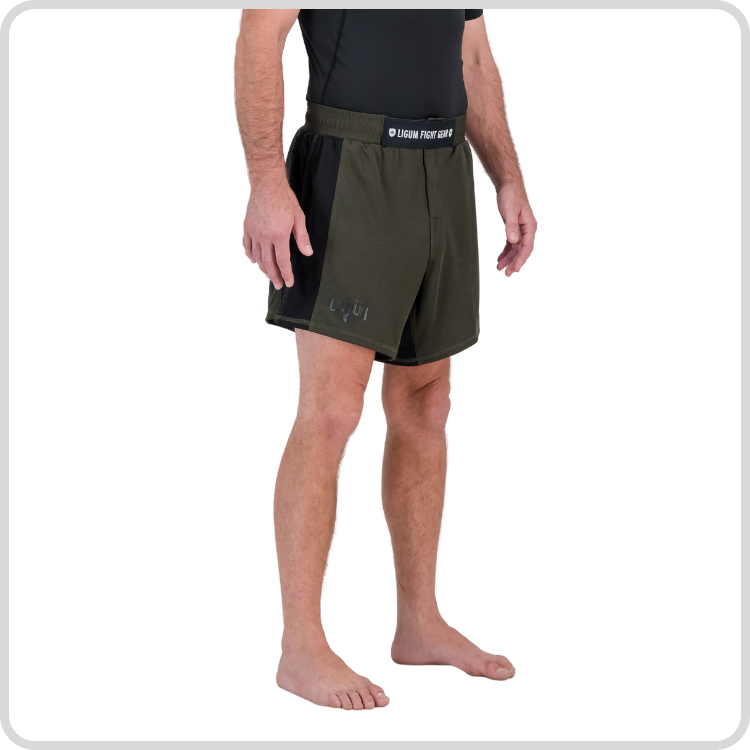 Aurelius Fight Shorts