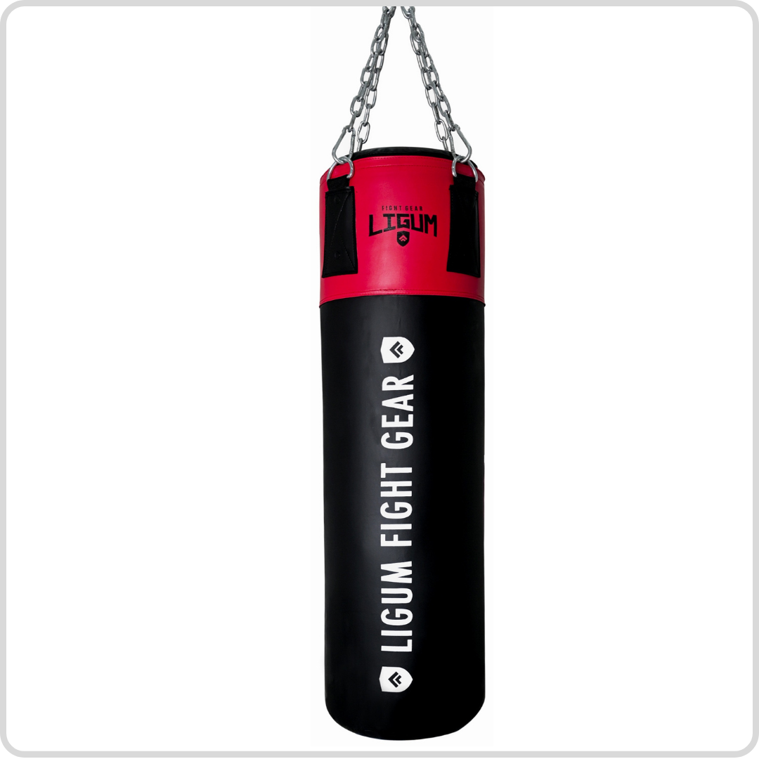 Ludus Series - Technical Punching Bag