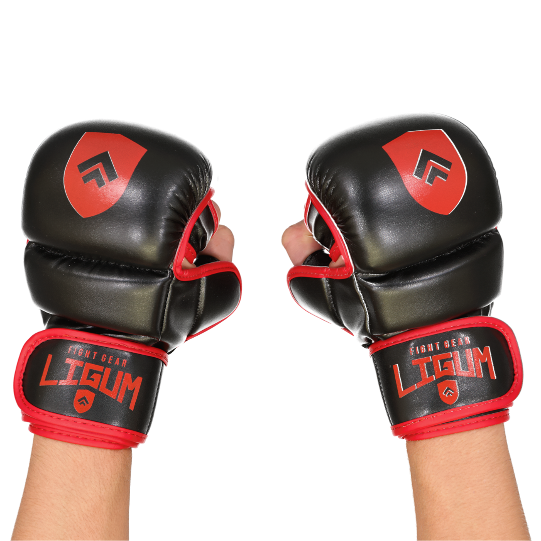 Premium Grappling Gloves