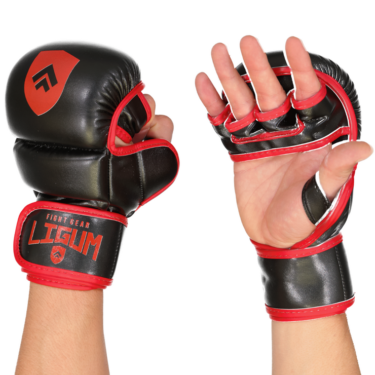 Premium Grappling Gloves